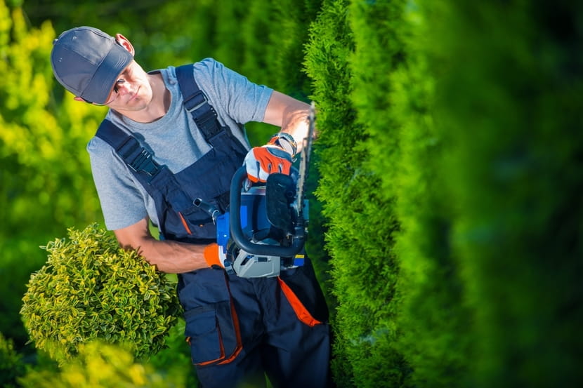 How-to-Choose-the-Best-Hedge-Trimmers-2