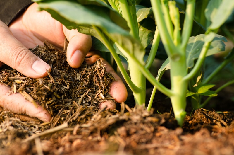 How-to-Make-Organic-Compost-for-Your-Lawn-and-Garden-4