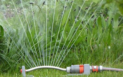 how to water your own lawn