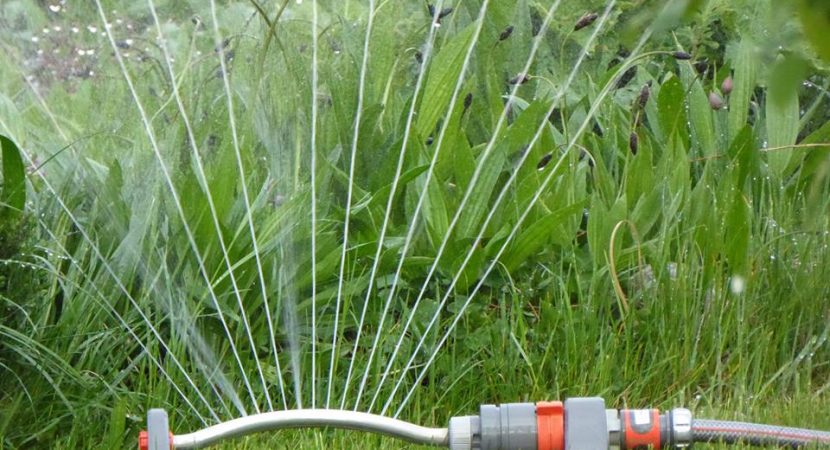 how to water your own lawn