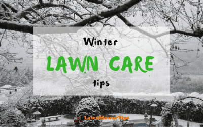 Useful-tips-for-winter-lawn-care-1