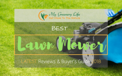 best lawn mower 2018, lawn mower reviews 2018