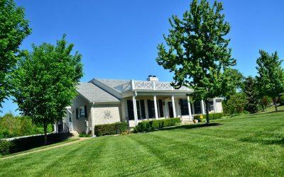 how-to-control-lawn-diseases-1