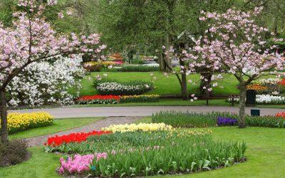 useful-lawn-care-tips-in-spring