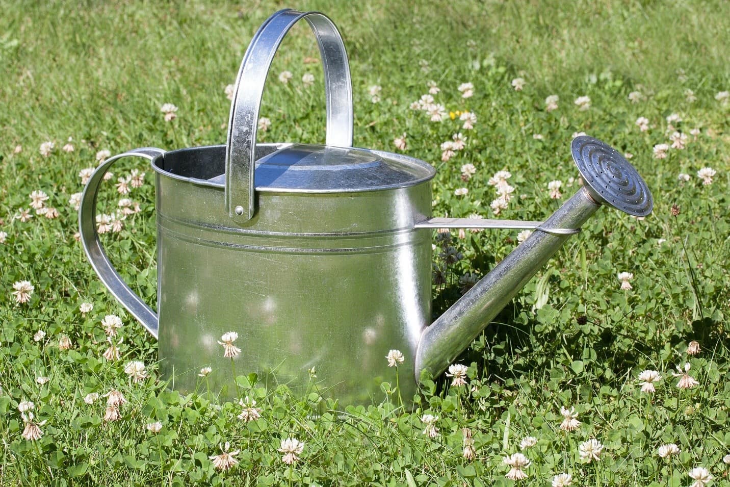 useful-lawn-care-tips-in-spring-6