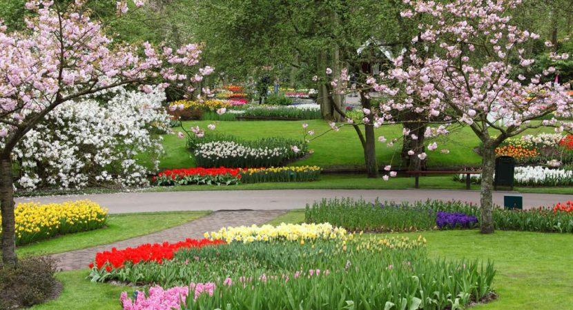 useful-lawn-care-tips-in-spring