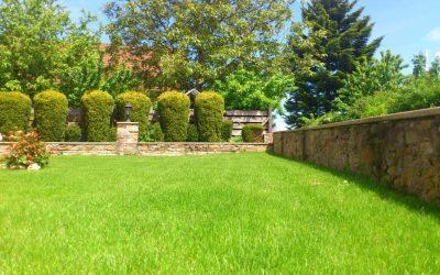 useful-tips-for-summer-lawn-care