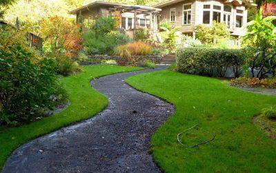 How-to-treat-burned-out-lawn