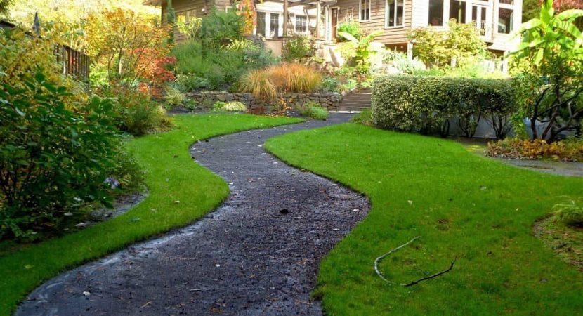 How-to-treat-burned-out-lawn