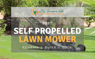 best self propelled lawn mower reviews 2018 for the money