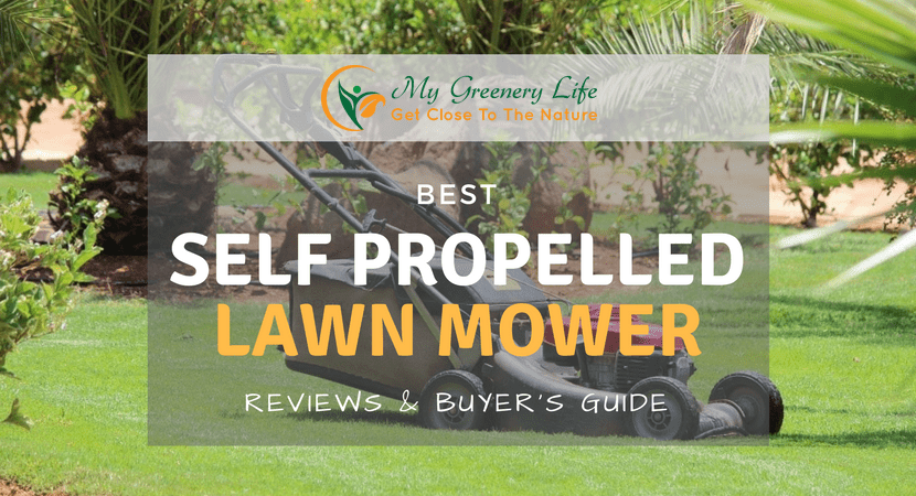 best self propelled lawn mower reviews 2018 for the money