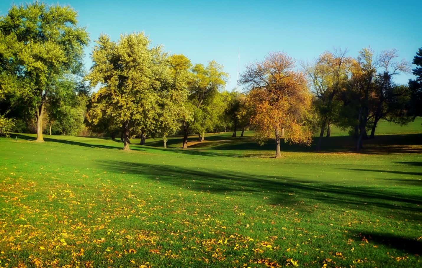 how-to-reseed-lawn-my-greenery-life