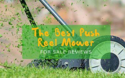 best-reel-push-mower-for-sale-reviews