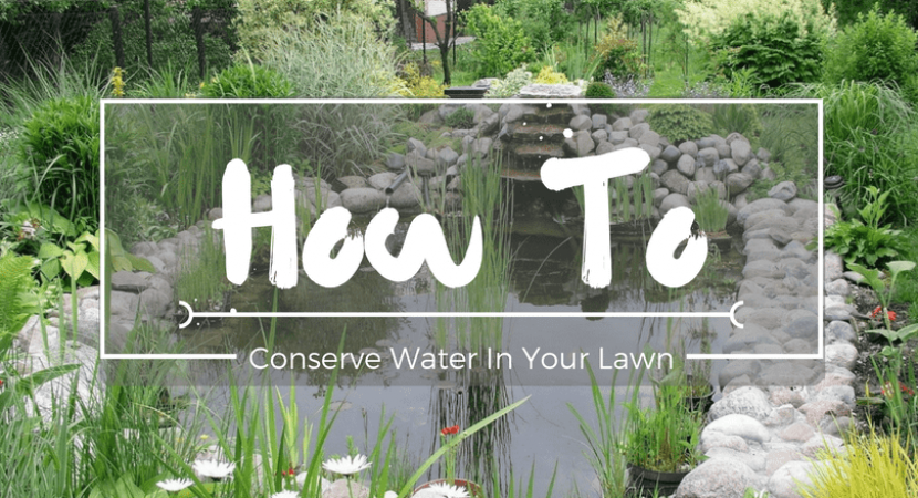 How-to-conserve-water-in-your-lawn