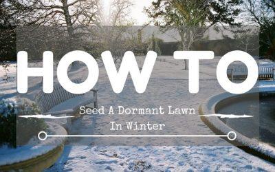 How-to-seed-a-dormant-lawn-in-winter-1