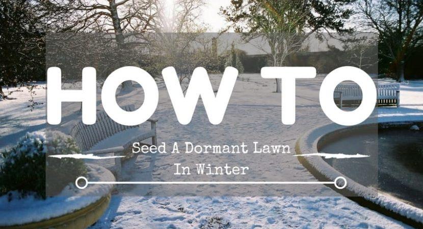 How-to-seed-a-dormant-lawn-in-winter-1
