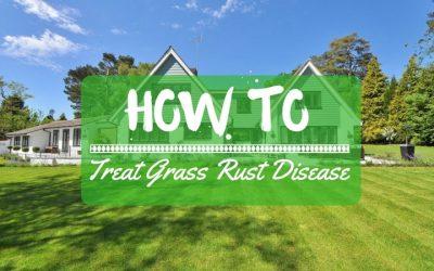 how-to-treat-grass-rust-disease