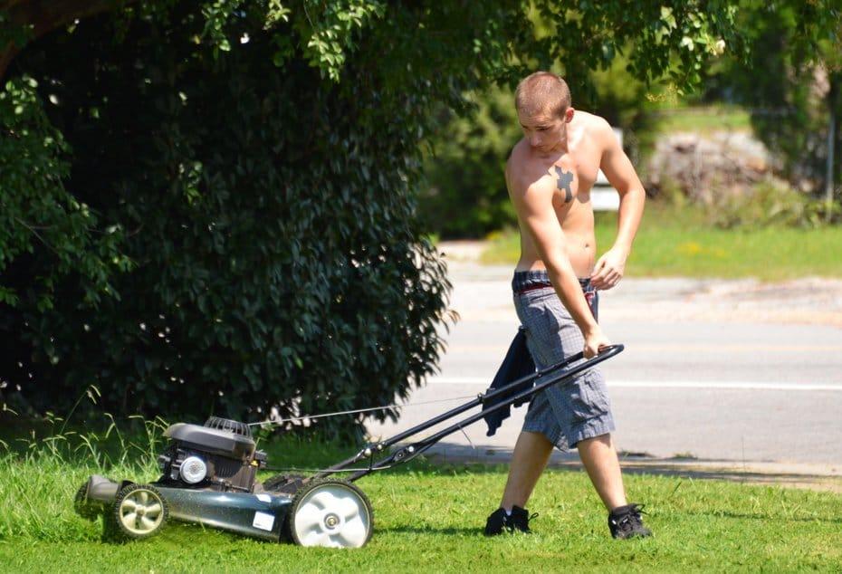 Choosing-the-best-corded-electric-lawn-mower-2