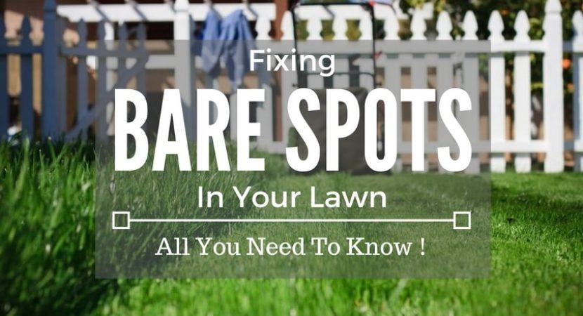 Fixing-Bare-Spots-In-Your-Lawn