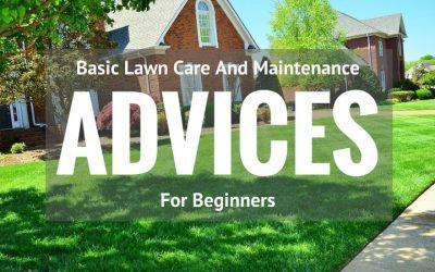 Basic-Lawn-Care-And-Maintenance-Advices-for-Beginners