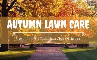 Autumn-Lawn-Care-Tips