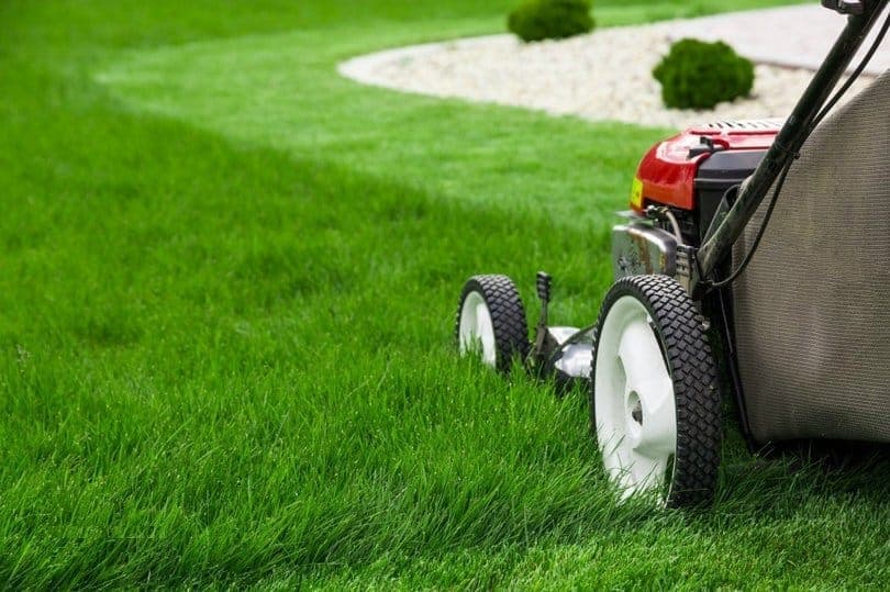 How-To-Mow-Your-Lawn-In-Hot-Weather-2