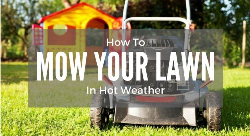How-To-Mow-Your-Lawn-In-Hot-Weather