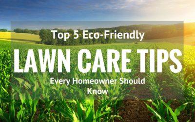 Top-5-Eco-Friendly-Lawn Care-Tips