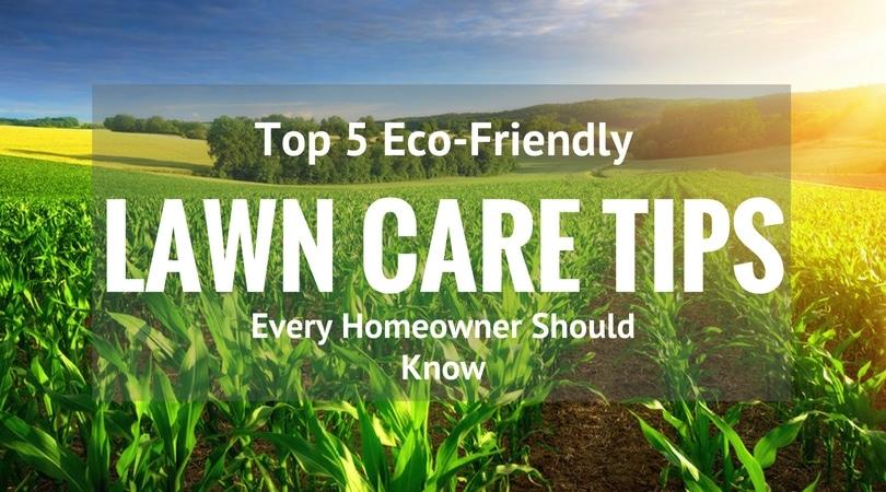 Environmentally Friendly Lawn Care