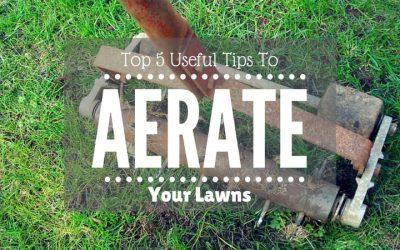 Top-5-Useful-Tips-To-Aerate-Your-Lawn