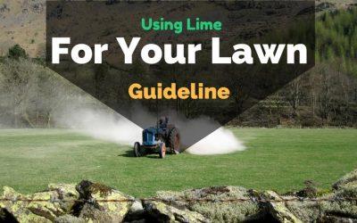 Using-lime-for-your-lawn-guideline