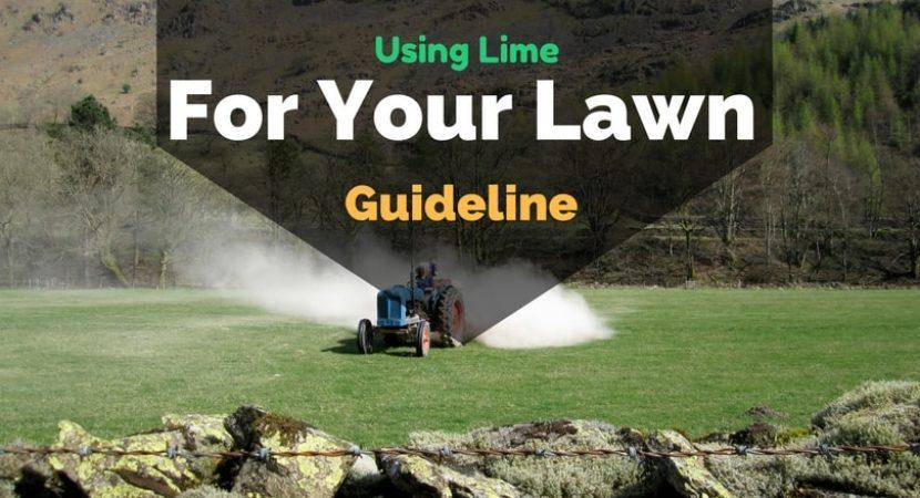 Using-lime-for-your-lawn-guideline