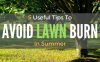 Avoid-Lawn-Burn-In-Summer