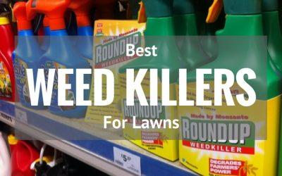 Best-Weed-Killers-for-Lawns-2017