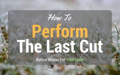 Perform-The-Last-Cut-Before-Winter-For-Your-Lawn