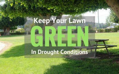 keep-your-lawn-green-in-drought-conditions