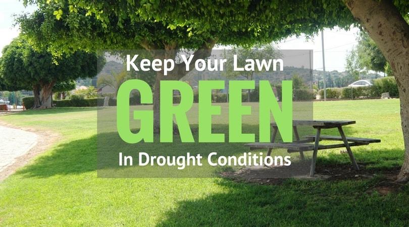 How Can You Keep Your Lawn Green In Drought Conditions? | My Greenery Life