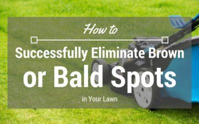 how-to-successfully-eliminate-brown-or-bald-spots-in-your-lawn-1