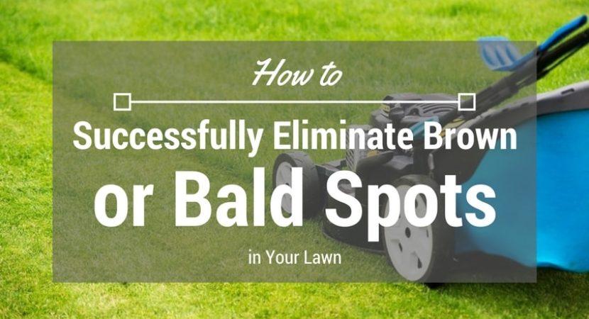 how-to-successfully-eliminate-brown-or-bald-spots-in-your-lawn-1