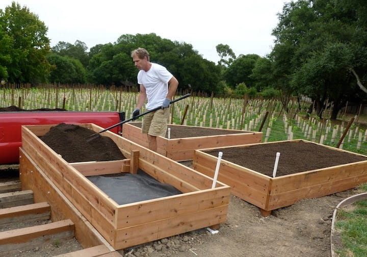 Growing-Portobello-Mushrooms-4