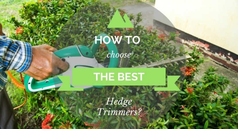 How-to-Choose-the-Best-Hedge-Trimmers