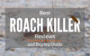 best-roach-killer-reviews