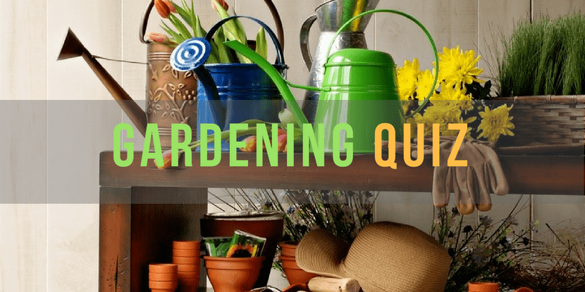 gardening_quiz