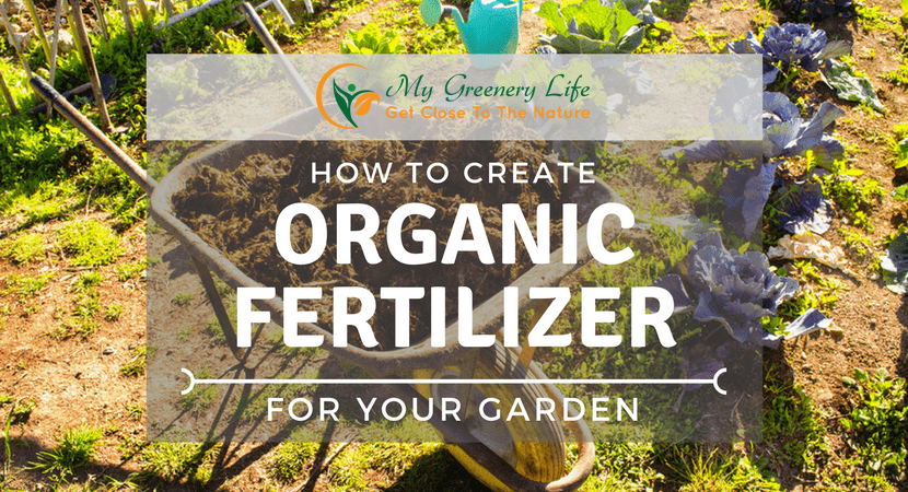How-to-create-organic-fertilizer-for-your-garden-1