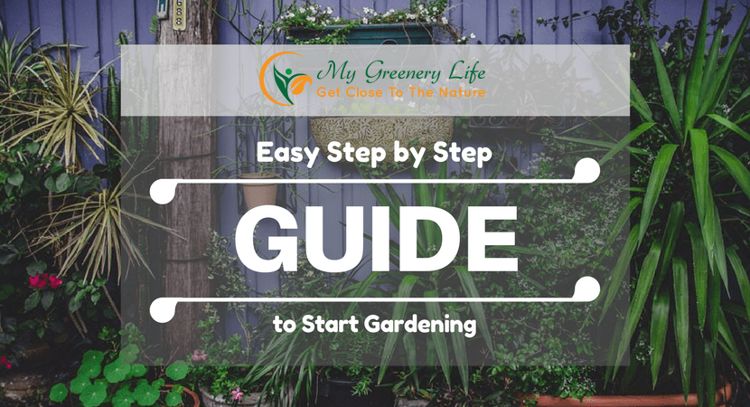easy-step-by-step-guide-to-start-gardening-1