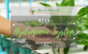 Best-Hydroponic-System-Reviews-1