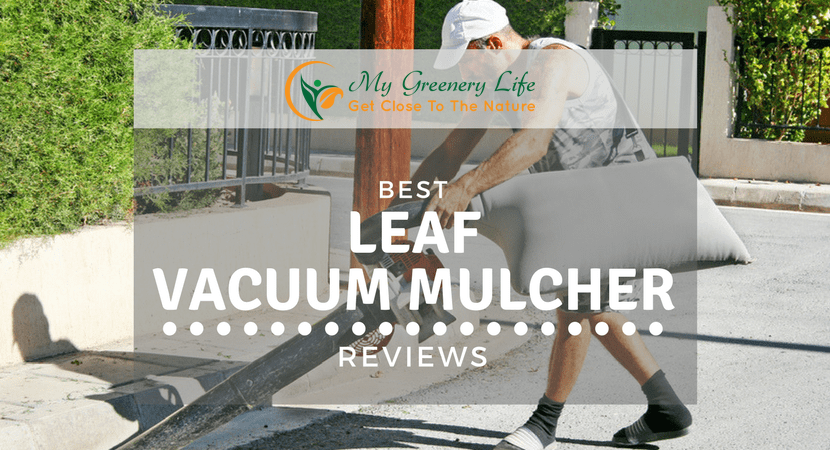 Best-Leaf-Vacuum-Mulcher-Reviews-1