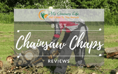 best-chain-saw-chaps-reviews-1