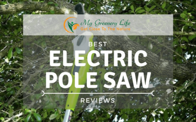 best-electric-pole-saw-reviews