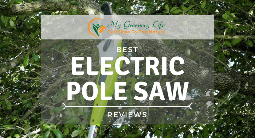 best-electric-pole-saw-reviews